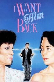 Stolen: One Husband 1990 on netflix