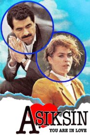 You Are in Love 1988 on netflix