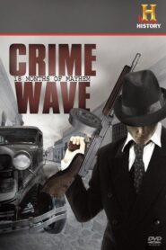 Crime Wave: 18 Months of Mayhem 2008 on netflix