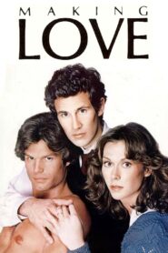 Making Love 1982 on netflix