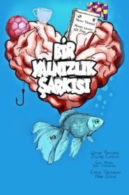 Bir Yalnızlık Şarkısı 2020 on netflix