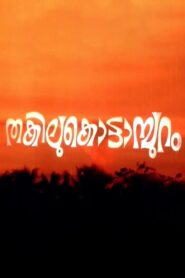 Thakilu Kottampuram 1981 on netflix