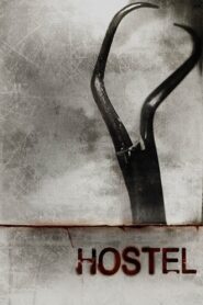 Hostel 2006 on netflix