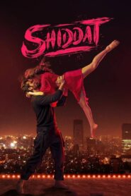 Shiddat 2021 on netflix