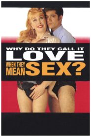 Why Do They Call It Love When They Mean Sex? 1993 on netflix