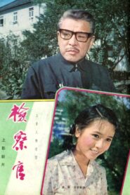检察官 1981 on netflix