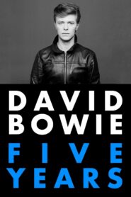 David Bowie: Five Years 2013 on netflix