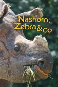 Nashorn, Zebra & Co. 2007 on netflix