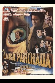 El cara parchada 1980 on netflix