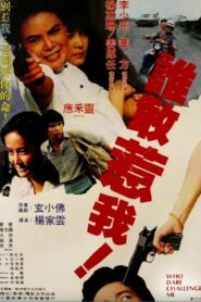 Who Dare Challenge Me 1981 on netflix
