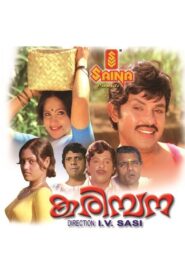 Karimpana 1980 on netflix