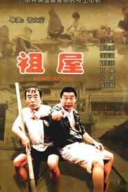 Home Again 1995 on netflix