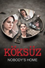 Nobody’s Home 2013 on netflix
