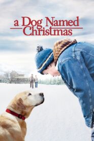 A Dog Named Christmas 2009 on netflix