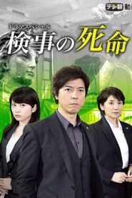 Fate of a Prosecutor 2016 on netflix