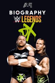 Biography: D-Generation X 2022 on netflix