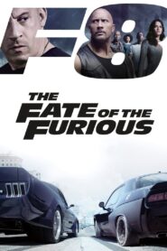 The Fate of the Furious 2017 on netflix