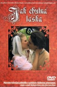Jak chutná láska 2002 on netflix