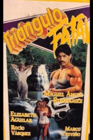 Triángulo Fatal 1994 on netflix