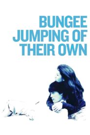 Bungee Jumping of Their Own 2001 on netflix