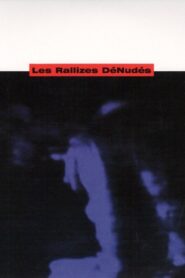Les Rallizes Dénudés 1992 on netflix