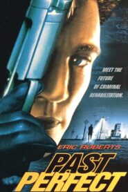 Past Perfect 1996 on netflix