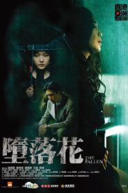 The Fallen 2019 on netflix