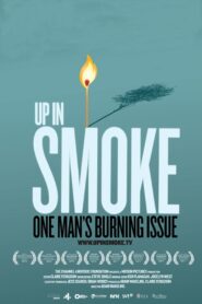 Up in Smoke 2011 on netflix