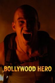 Bollywood Hero 2009 on netflix