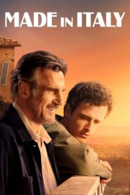 Made in Italy 2020 on netflix
