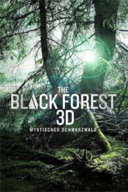The Black Forest – Mystischer Schwarzwald 2013 on netflix