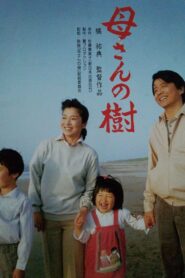 Kāsan no ki 1986 on netflix