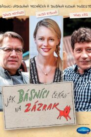 Jak básníci čekají na zázrak 2016 on netflix