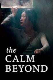 The Calm Beyond 2020 on netflix