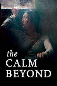The Calm Beyond 2020 on netflix
