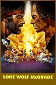 Lone Wolf McQuade 1983 on netflix