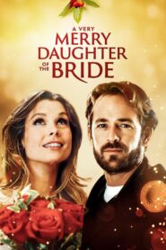 A Very Merry Daughter of the Bride 2008 on netflix