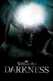 Within the Darkness 2013 on netflix