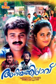 Aniyathipraavu 1997 on netflix