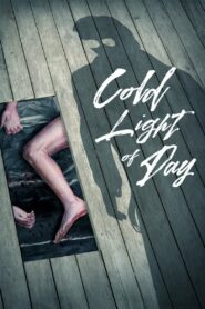 Cold Light of Day 1989 on netflix