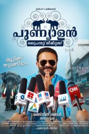Punyalan Private Limited 2017 on netflix