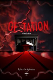Gestation 2024 on netflix
