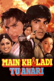 Main Khiladi Tu Anari 1994 on netflix