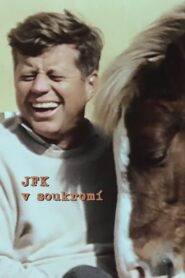 JFK: The Private President 2013 on netflix