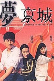 A Story in Beijing City 1993 on netflix