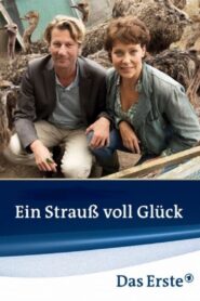 Ein Strauß voll Glück 2009 on netflix