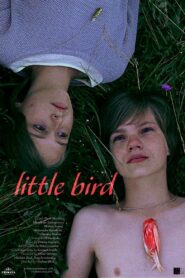 Little Bird 2014 on netflix