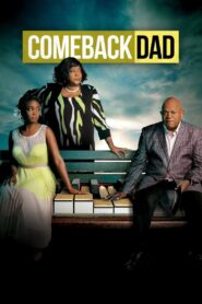 Comeback Dad 2014 on netflix