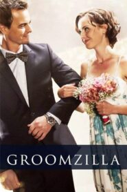 Groomzilla 2018 on netflix