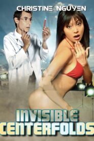 Invisible Centerfolds 2015 on netflix